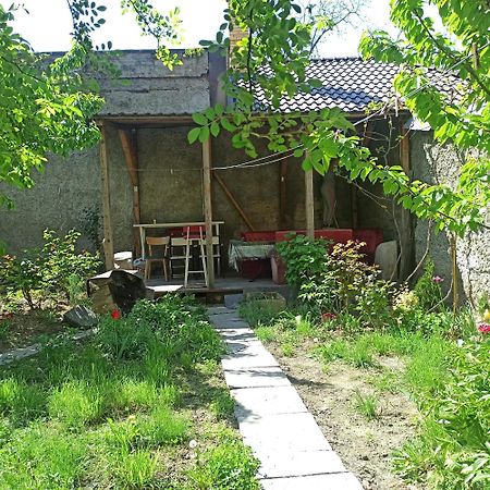 Дом У Моря С Бассейном И Сауной Odesa Exterior photo